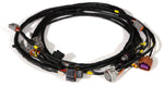 Ancillary Harness - Nissan Skyline GTR RB26